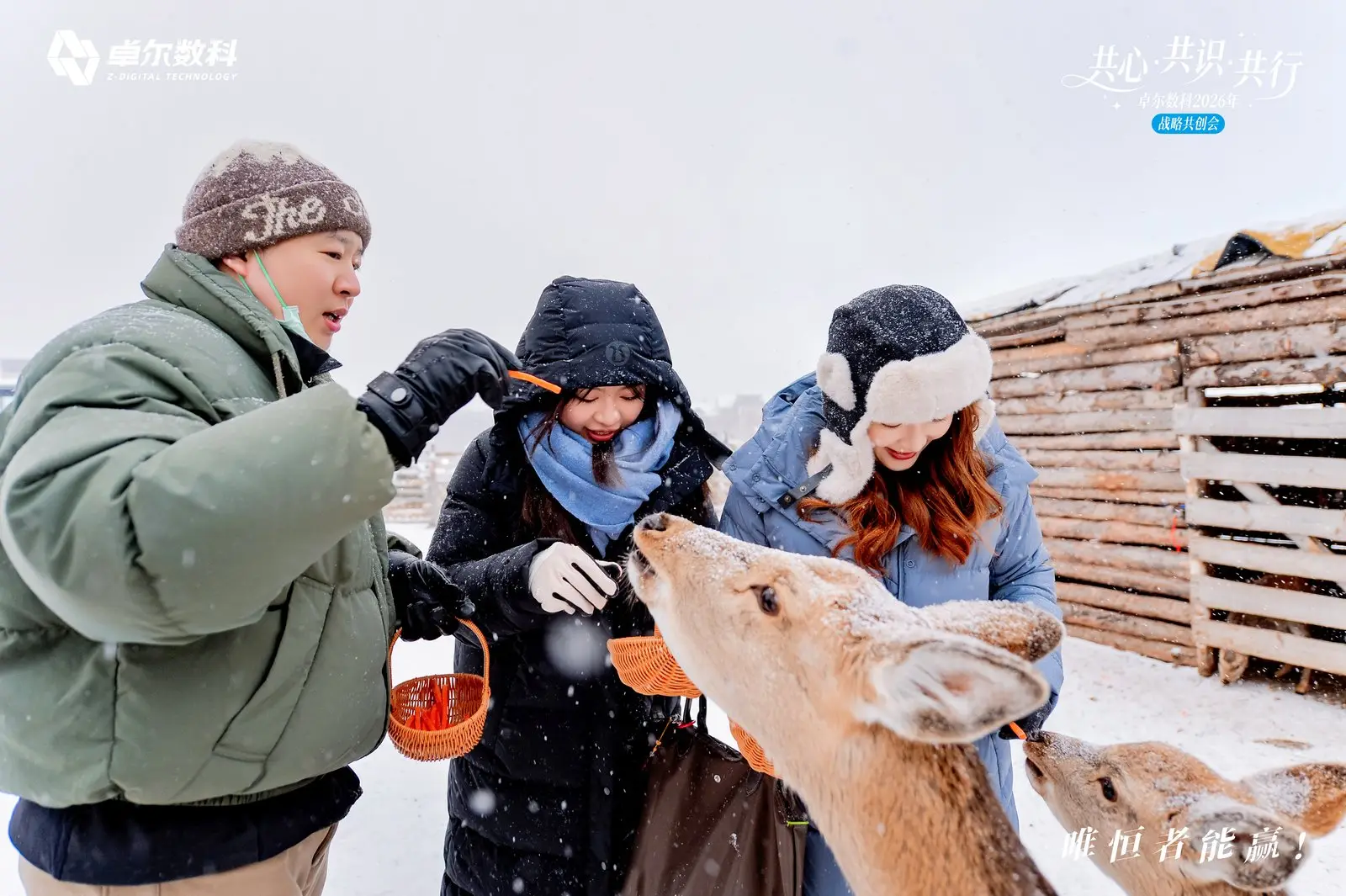 卓尔数科伙伴在雪地喂食驯鹿